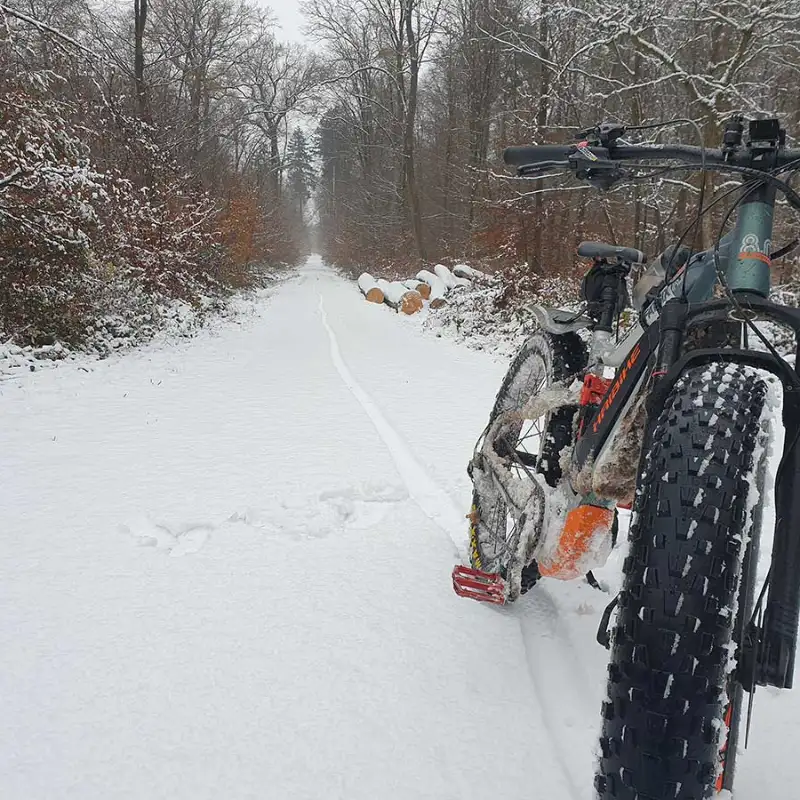 Ein Mountainbike auf Waldweg im Schnee, im Hintergrund Wald - JobRadmoment eines Jobradlers Ein Mountainbike auf Waldweg im Schnee, im Hintergrund Wald - JobRadmoment eines Jobradlers