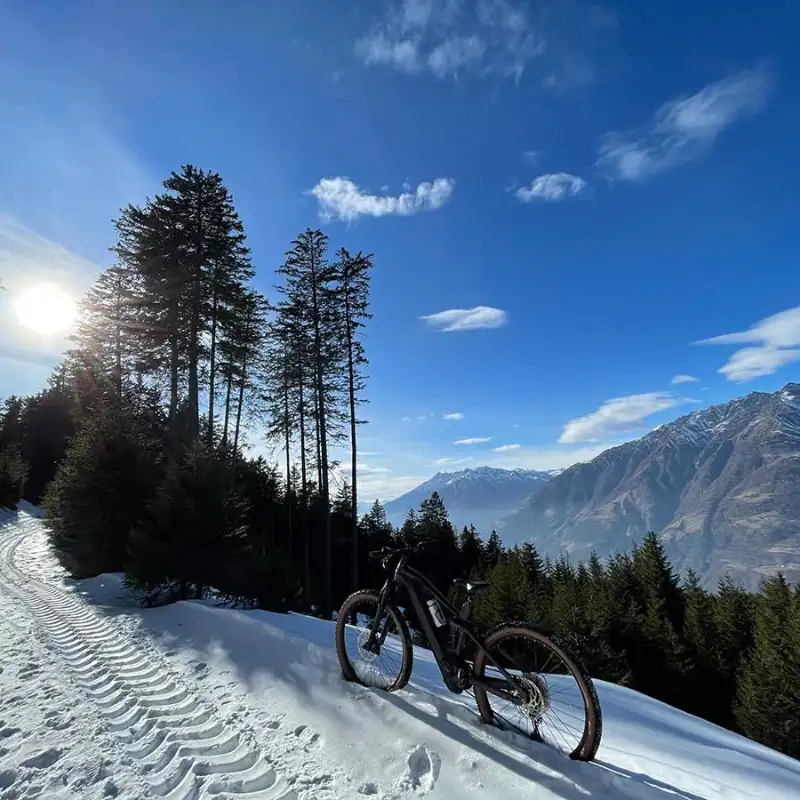 JobRad-Moment 506 JobRad-Moment 506